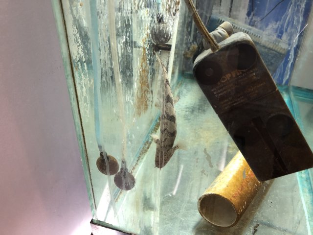 E0B84938-4F77-446D-80AE-5384958B8C47.jpeg E0B84938-4F77-446D-80AE-5384958B8C47.jpeg