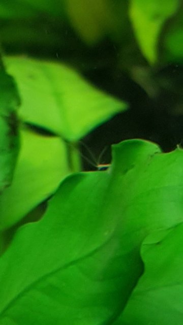 20171227_113223.jpg