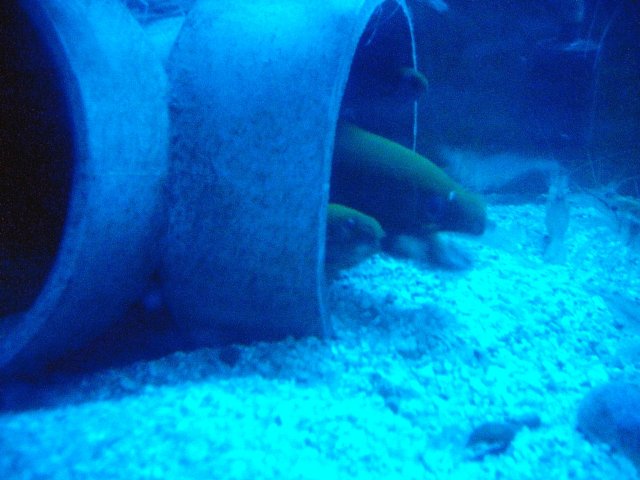 IMG_20171229_214201.jpg