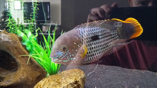 20171231_130011.jpg