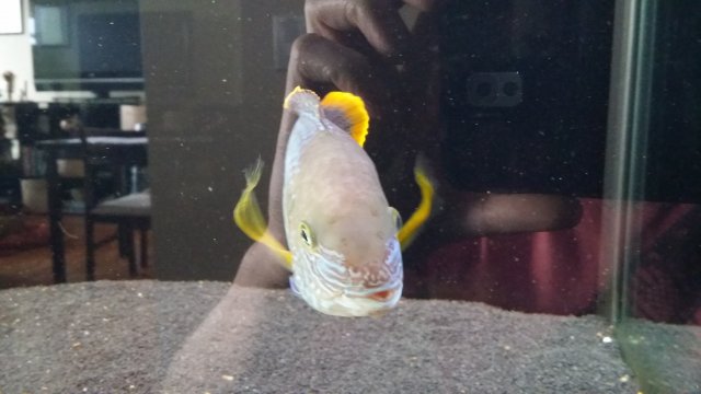 20171231_130000.jpg