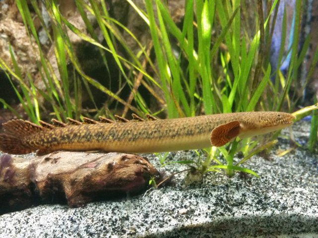 20171008_212611.jpg
