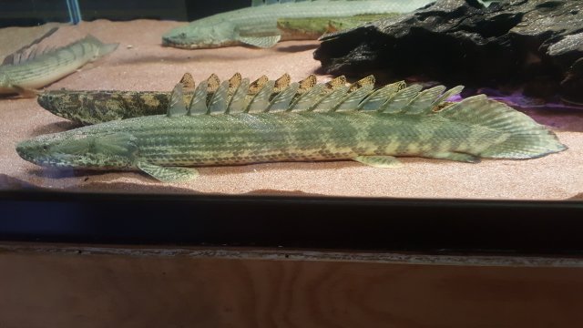 20171210_143404.jpg
