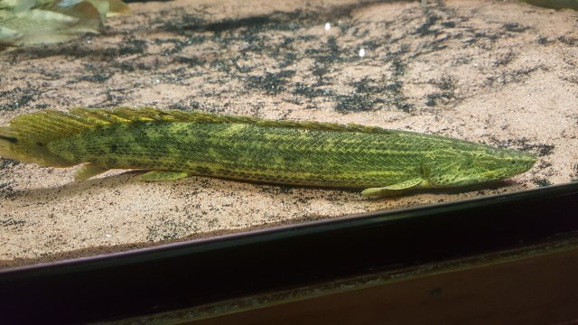 20171221_161425.jpg