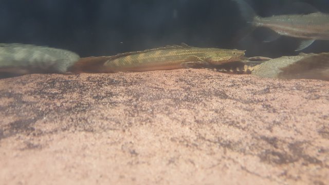 20171228_140420.jpg