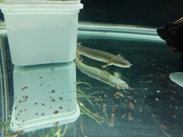 20170421_221707.jpg