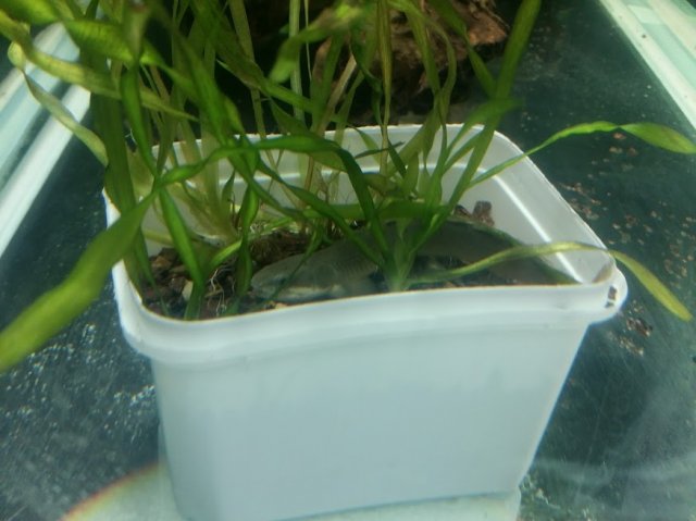 20170422_154516.jpg