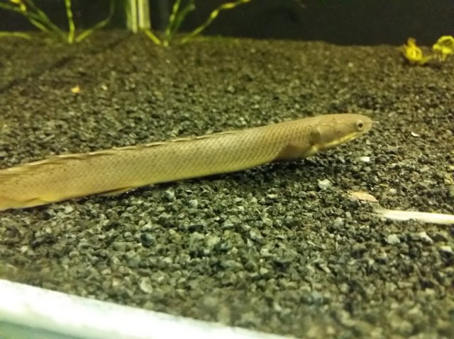 20170605_170019.jpg