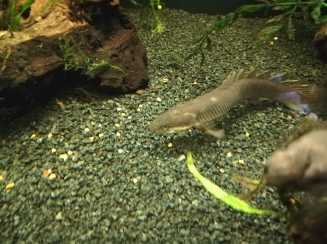 IMG_20180102_162448.jpg