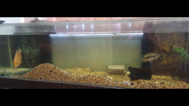 Screenshot_20180103-115649.png Screenshot_20180103-115649.png