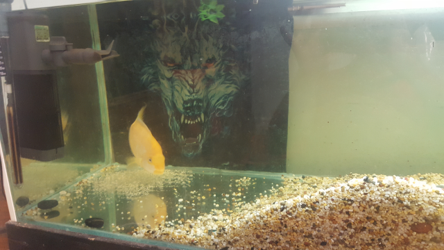 Screenshot_20180103-115625.png Screenshot_20180103-115625.png