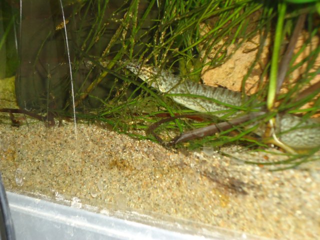 DSC00521.JPG