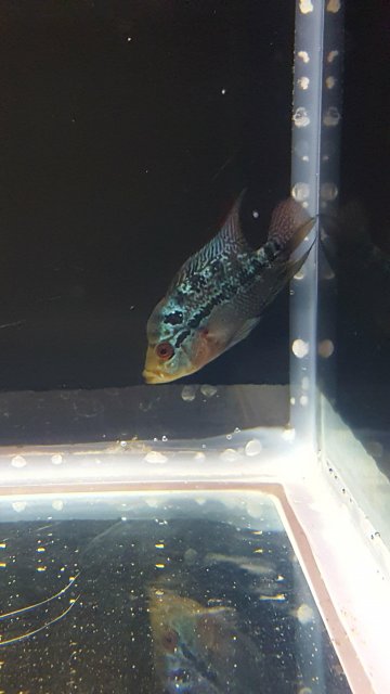 20171022_173136.jpg