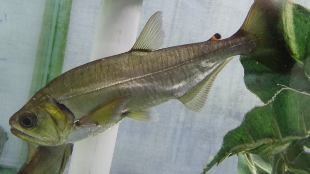 DSC00868.JPG