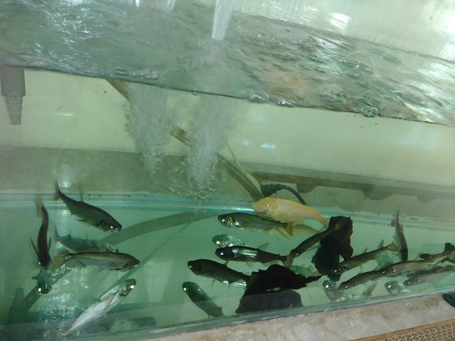 20171231_125144.jpg