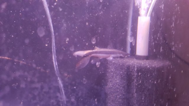 20180110_125435.jpg
