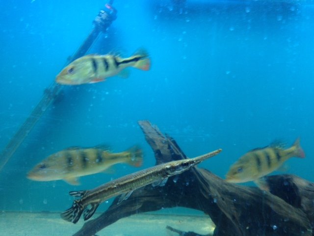 photo 2.JPG