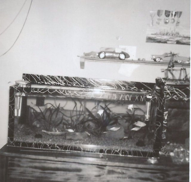 Old fish tank.jpg