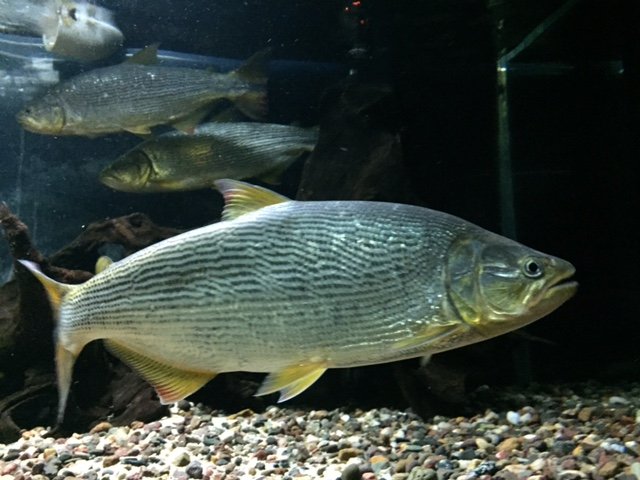 image1.JPG