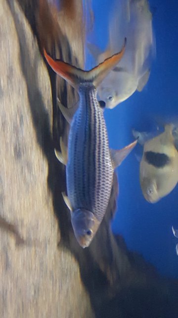20161220_165412_015.jpg 20161220_165412_015.jpg