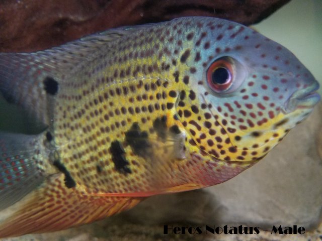 20171221_153636 (1).jpg