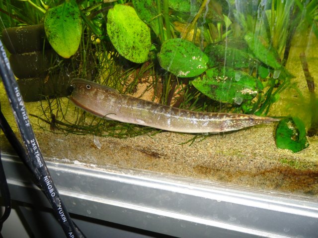 DSC00548.JPG