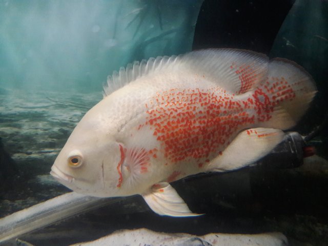 20180113_210659.jpg