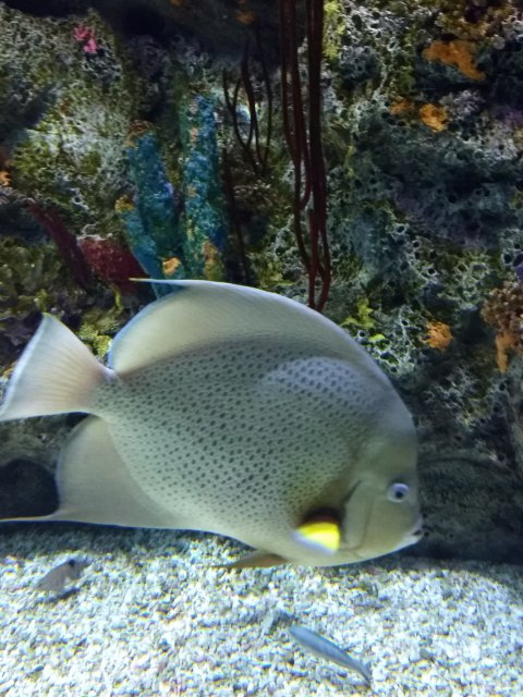 IMG_20170911_132054669.jpg