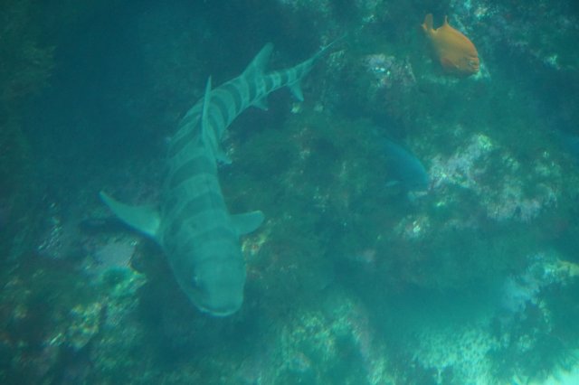DSC07268.jpg