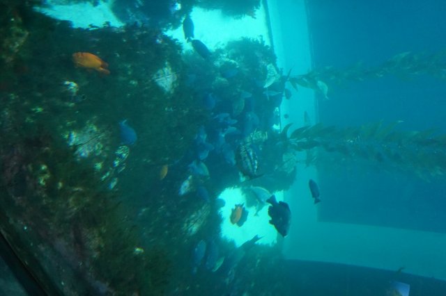 DSC07336.jpg