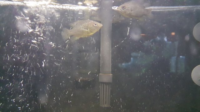 20180117_211325.jpg