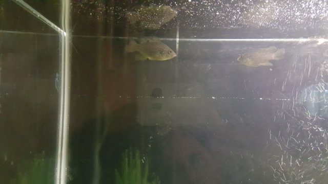 20180117_211230.jpg
