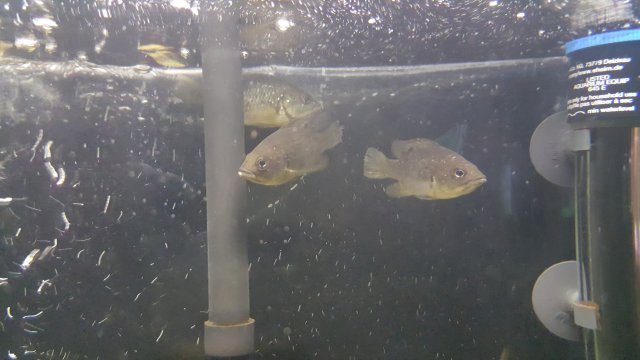 20180117_211701.jpg