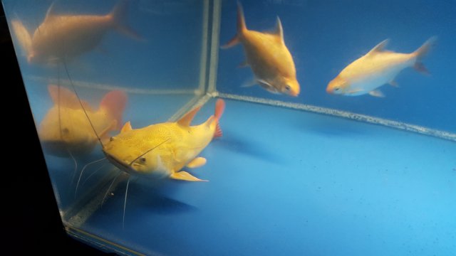 20180118_004942.jpg