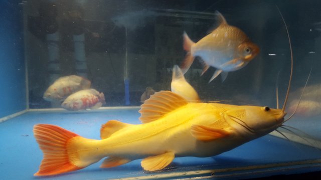 20180118_003915.jpg