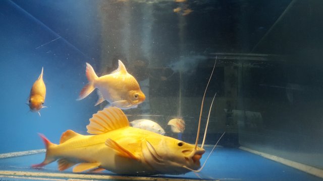 20180118_004243.jpg