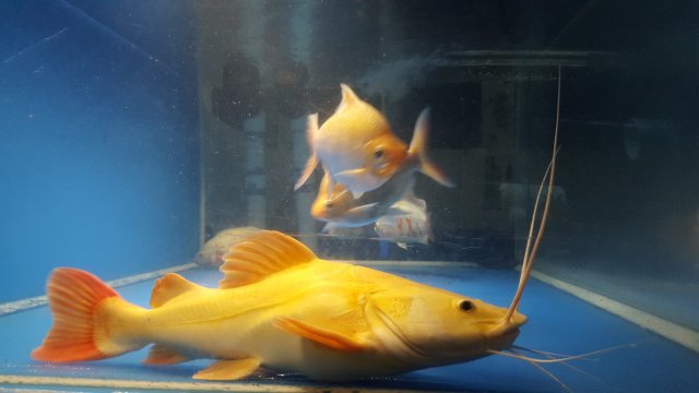 20180118_004305.jpg