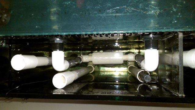 WP_20160102_005.jpg WP_20160102_005.jpg