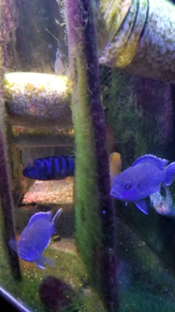20180119_052004.jpg