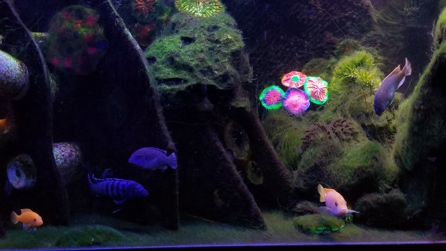 20180119_052606.jpg