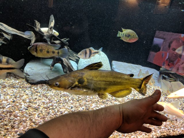 IMG_20180114_100734.jpg IMG_20180114_100734.jpg