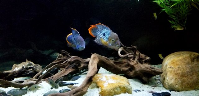 20180117_090345.jpg