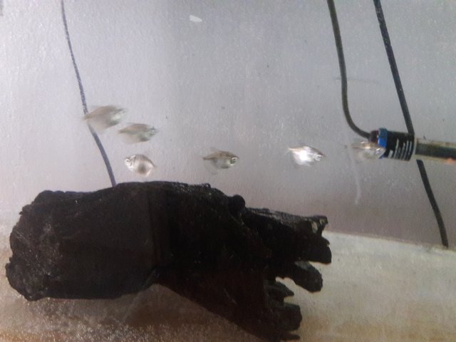 20180120_124703.jpg
