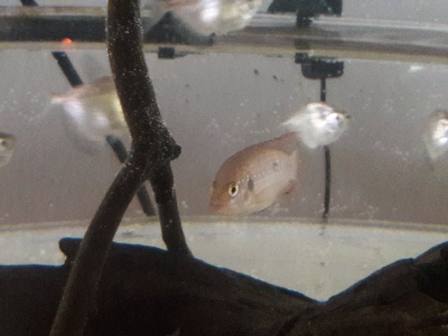 20180120_124723.jpg