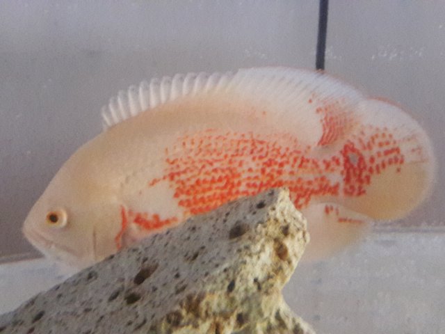 20180120_124729.jpg