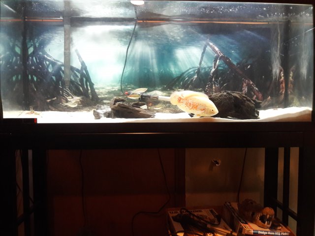 20171110_215755.jpg