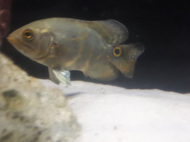 20180118_233611.jpg
