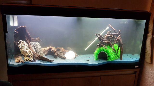 20180121_180131.jpg