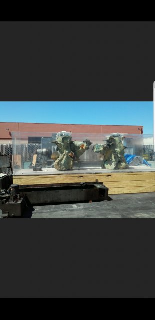 Screenshot_20180121-215000.jpg Screenshot_20180121-215000.jpg