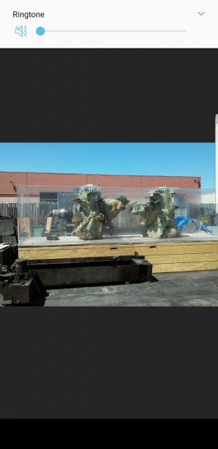 Screenshot_20180121-214921.jpg Screenshot_20180121-214921.jpg